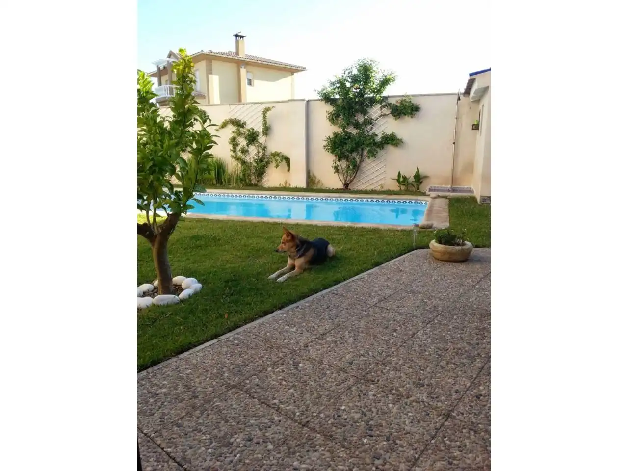 Piscina de Casa o xalet en venda en Baza amb Jardí privat, Terrassa i Piscina
