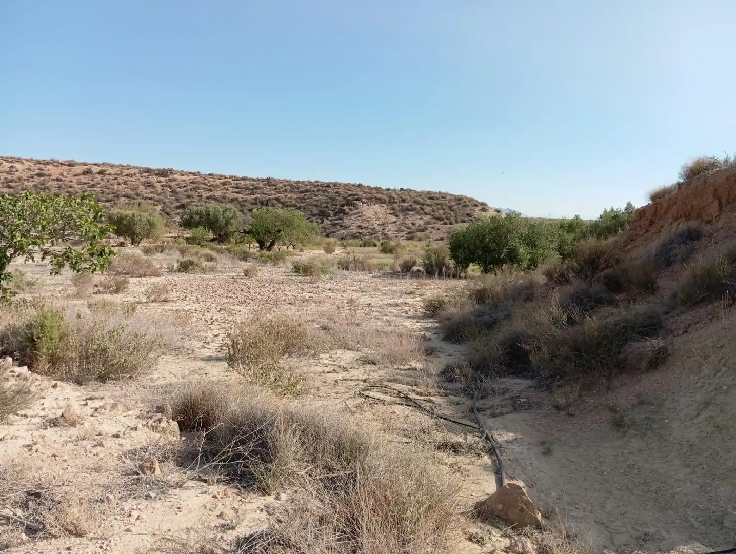 Casa rústica en venda a Cuevas del Almanzora pueblo, imagen 15