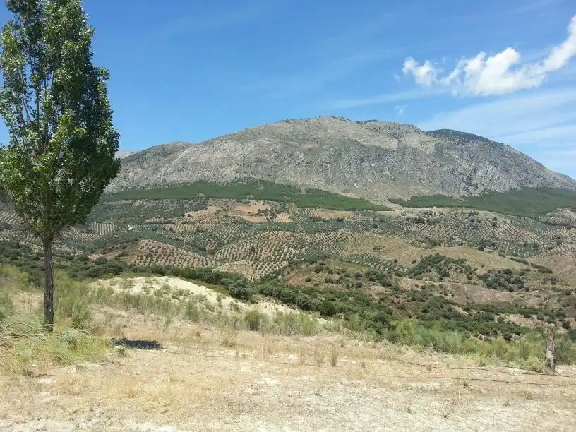 Casa rústica en venda a Huelma, imagen 47
