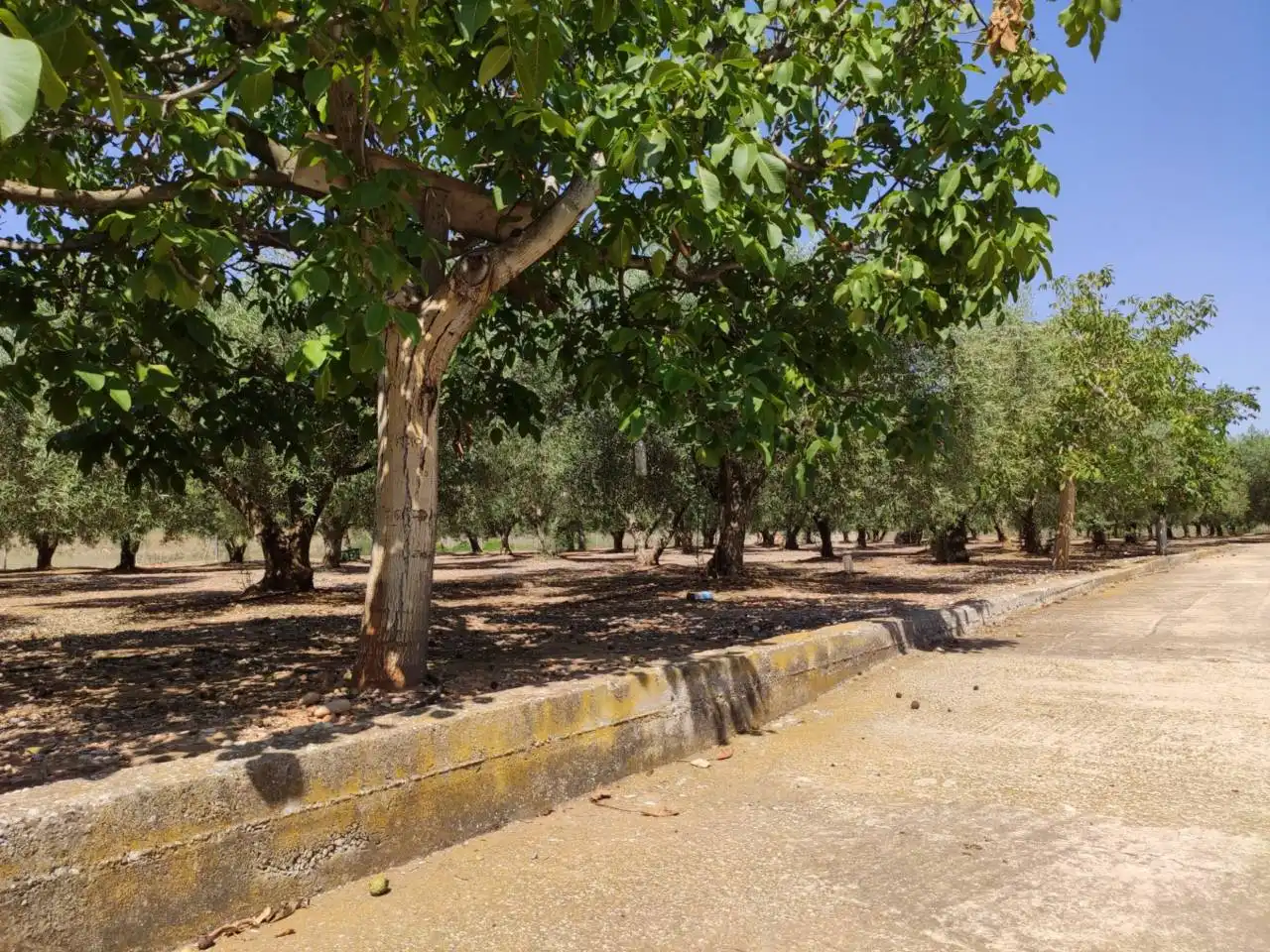Casa rústica con piscina en venta en Poligono 3, Parcela 398, 301, imagen 17