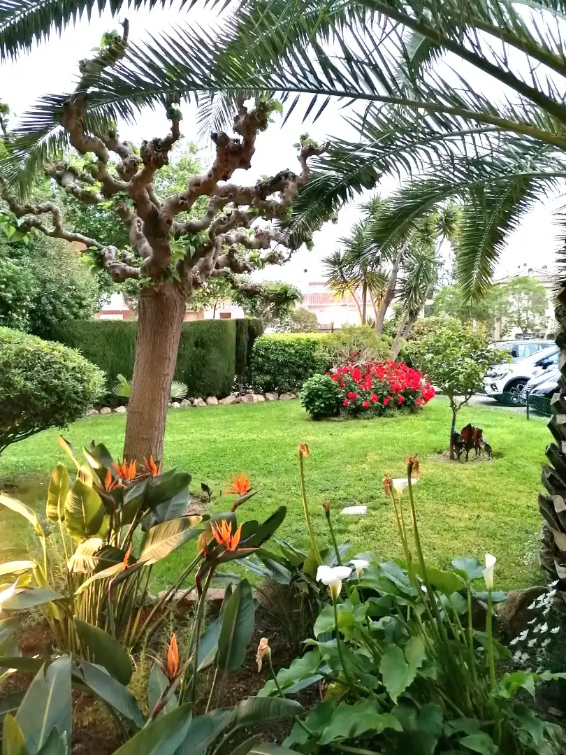 Jardín de Apartamento en venta en Castell d'Aro, Platja d'Aro i s'Agaró con Amueblado, Horno y Lavadora