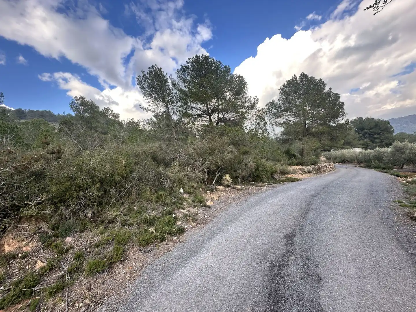 Terrenos y solares en venta en Alfara de la Baronia, imagen 3