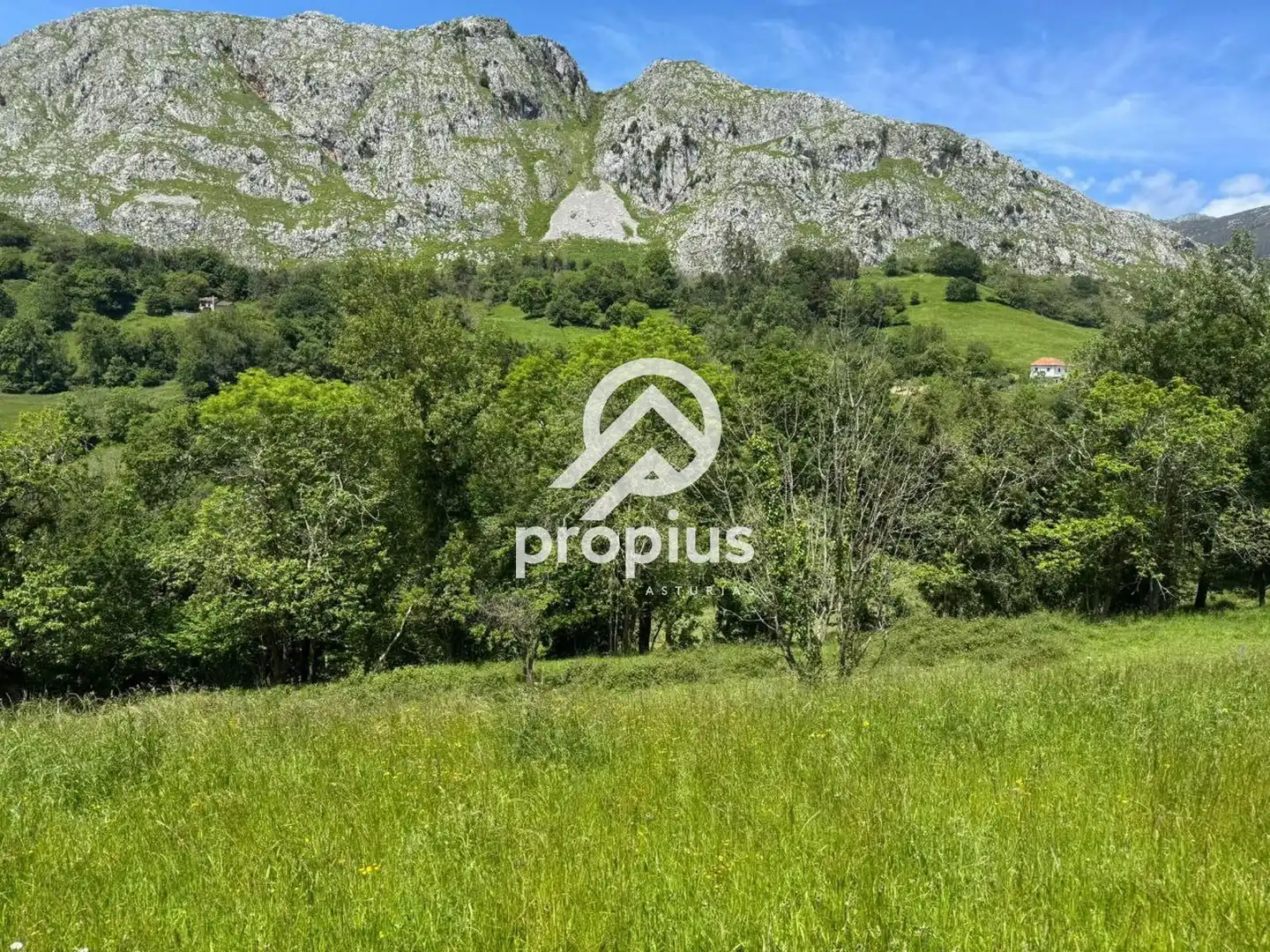 Rural land for sale in ARRIONDAS, imagen 21
