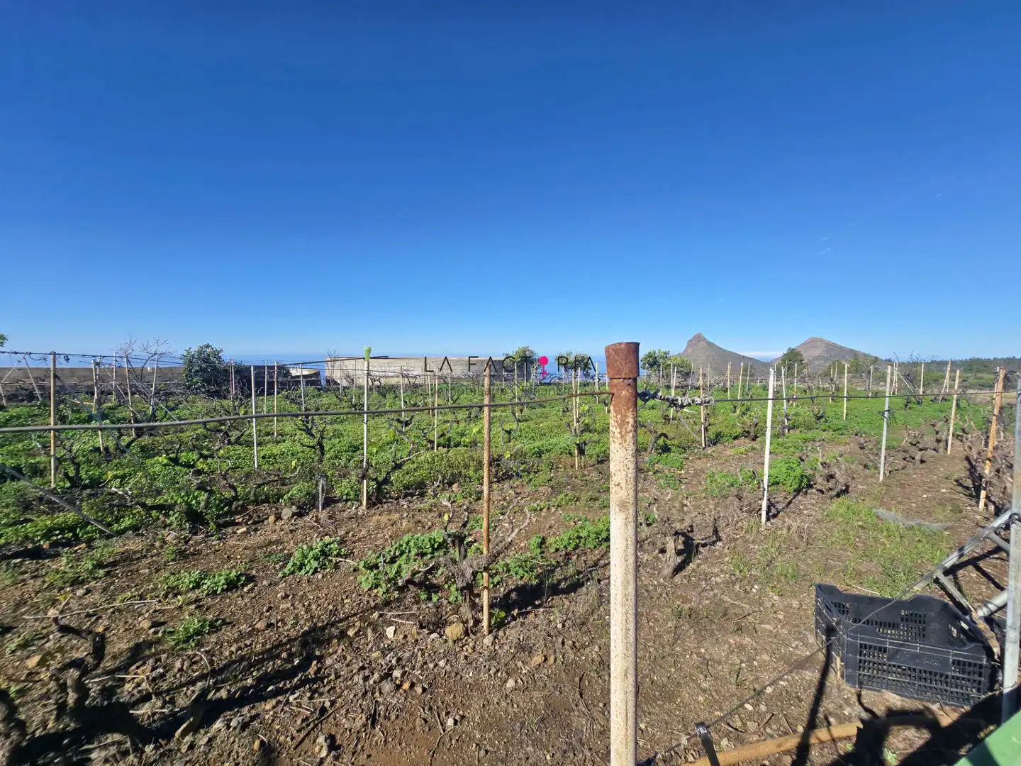 Terreno rústico en venta en Vilaflor de Chasna, imagen 6