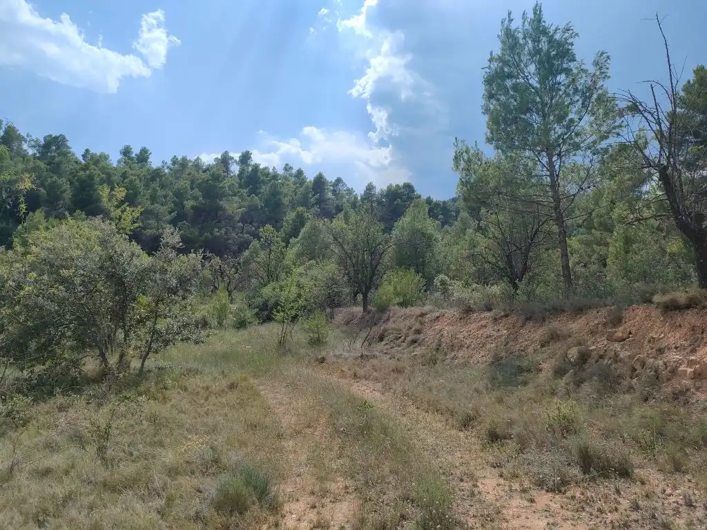Terreni e lotti in vendita a La Fresneda, imagen 4