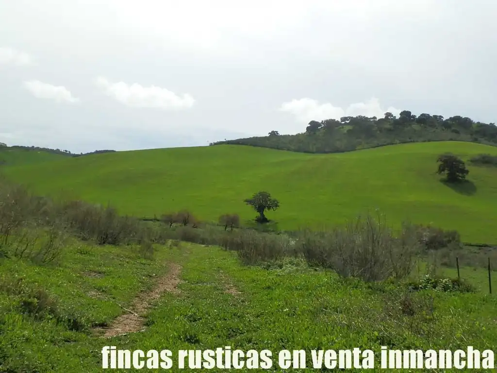 Terreno rustico in vendita a Algodonales, imagen 14