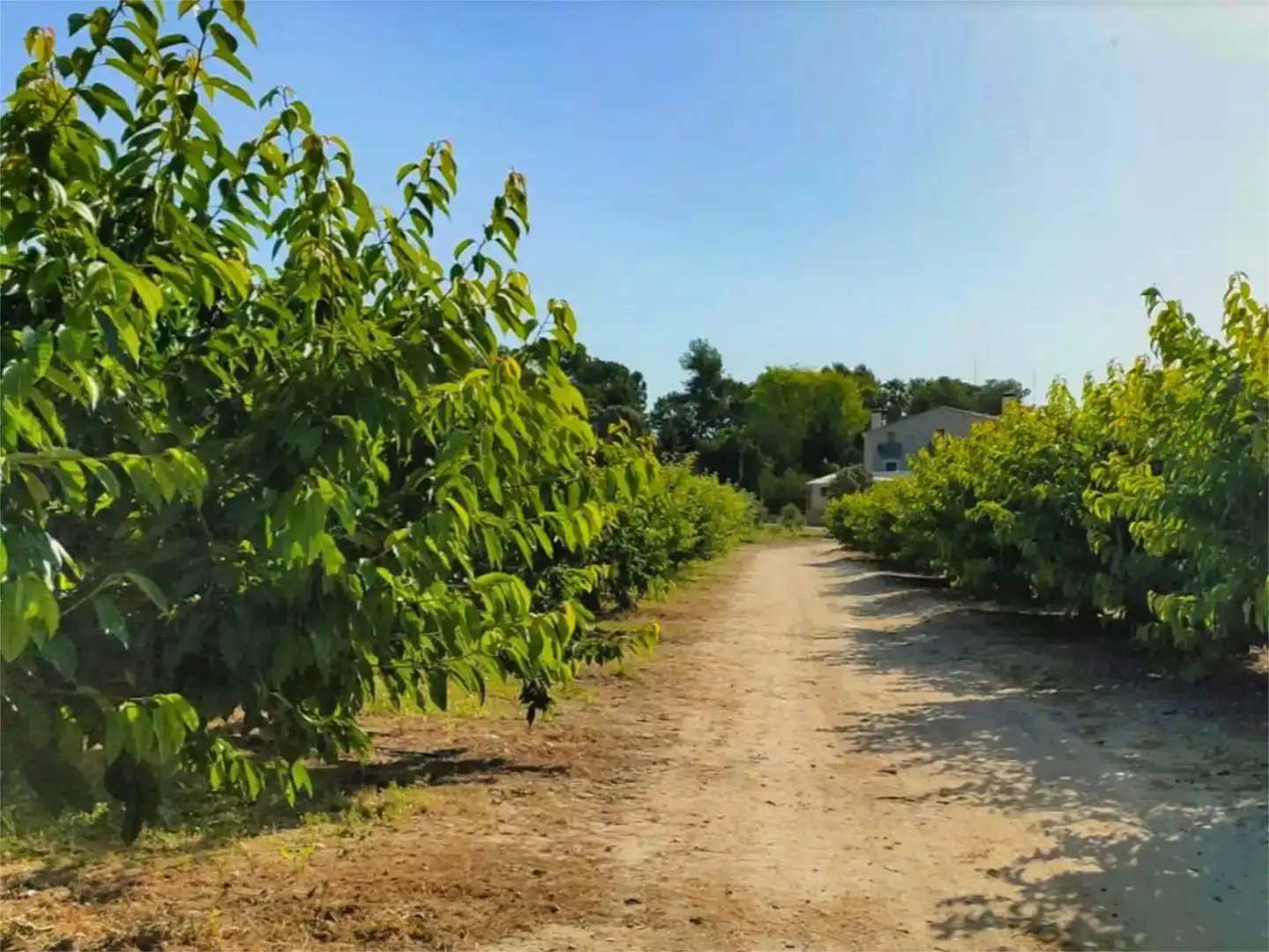 Wohnung zur Miete in Alcoy / Alcoi mit Klimaanlage, Privatgarten und Schwimmbad