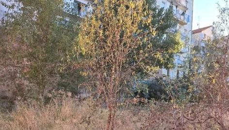 Foto 5 de Residencial en venda a Passatge de Puig, 6, Escodines, Barcelona