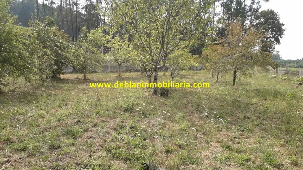 Terreno rustico in vendita a Tomiño, imagen 2