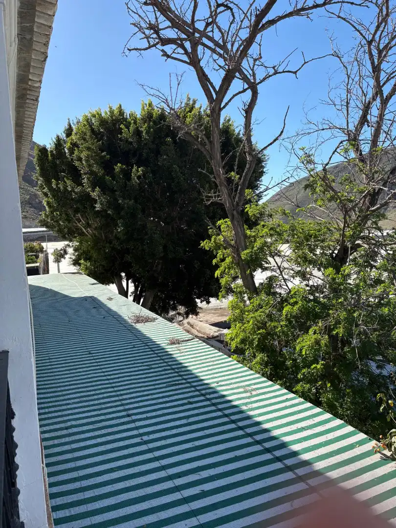 Vista exterior de Casa o xalet en venda en Berja amb Jardí privat, Terrassa i Moblat
