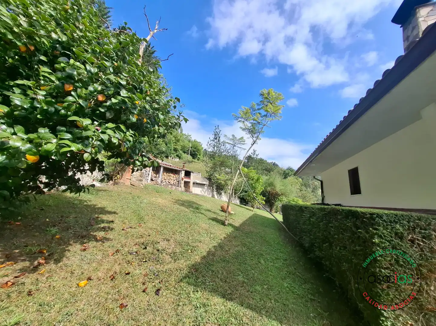 Vista exterior de Casa o chalet en venta en Gijón  con Jardín privado, Terraza y Trastero