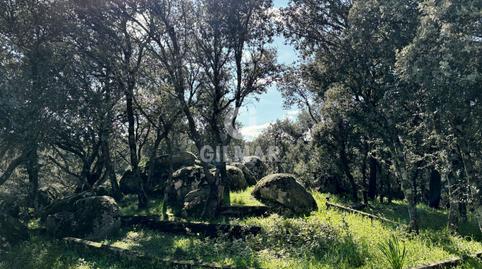 Foto 5 de Casa o xalet en venda a Navalquejigo - Los Arroyos, El Escorial