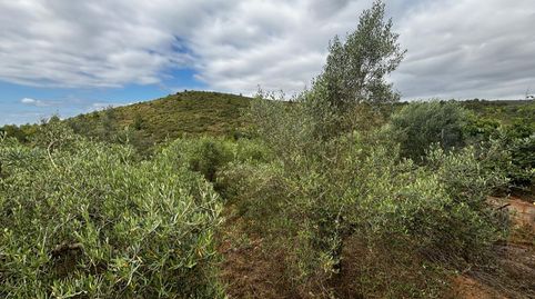 Foto 5 de Casa o xalet en venda a 3, Azuébar, Castellón