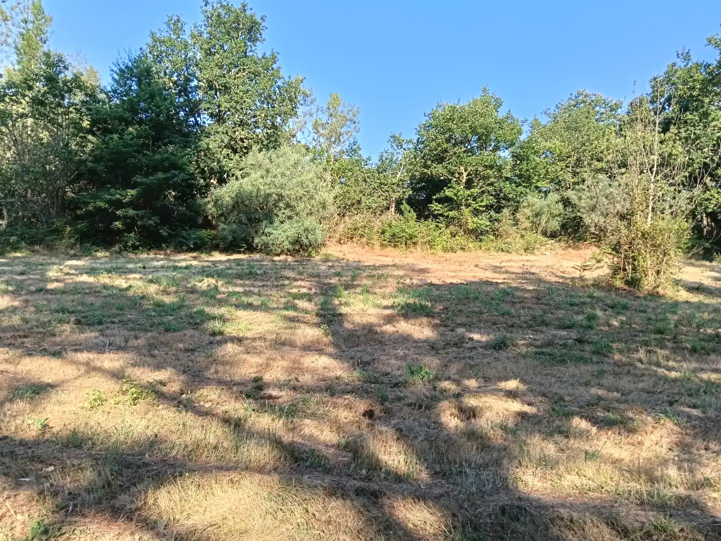 Haus mit Garten zum Verkauf in Carretera de Sambreixo, imagen 6