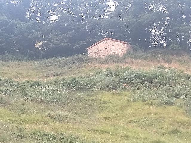 Finca rústica en Venta en N/A, 6A en Riosa