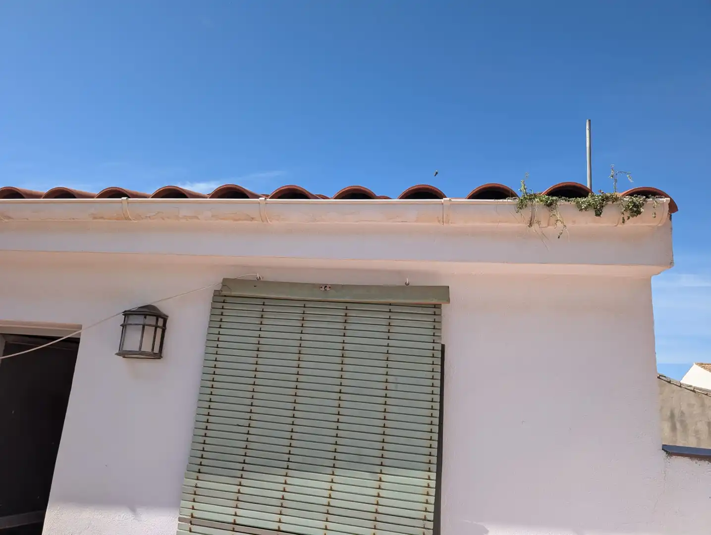 Vista exterior de Casa o xalet en venda en Alcaudete amb Terrassa