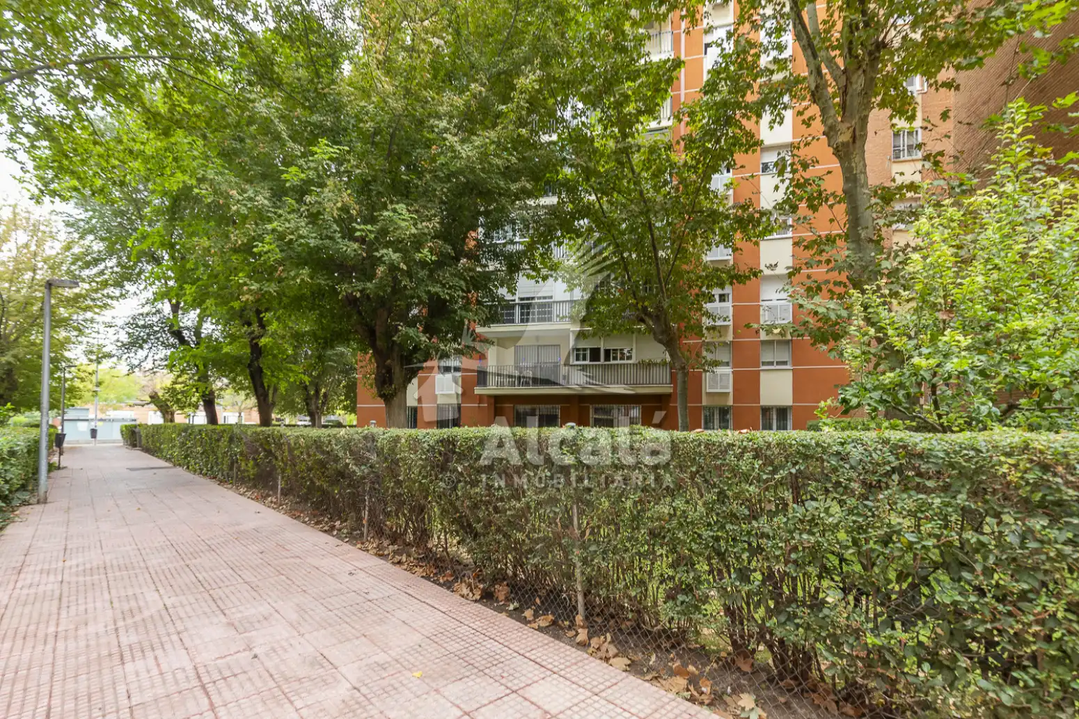 Exterior view of Flat for sale in Venecia - Nueva Alcalá