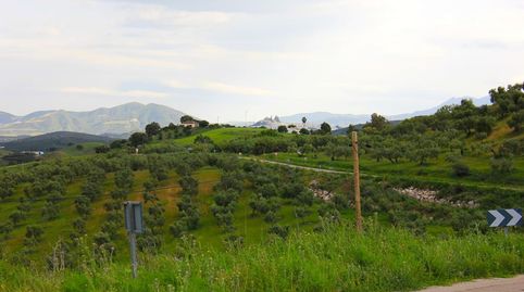 Finca Rúst. en venta en Olvera., imatge 2