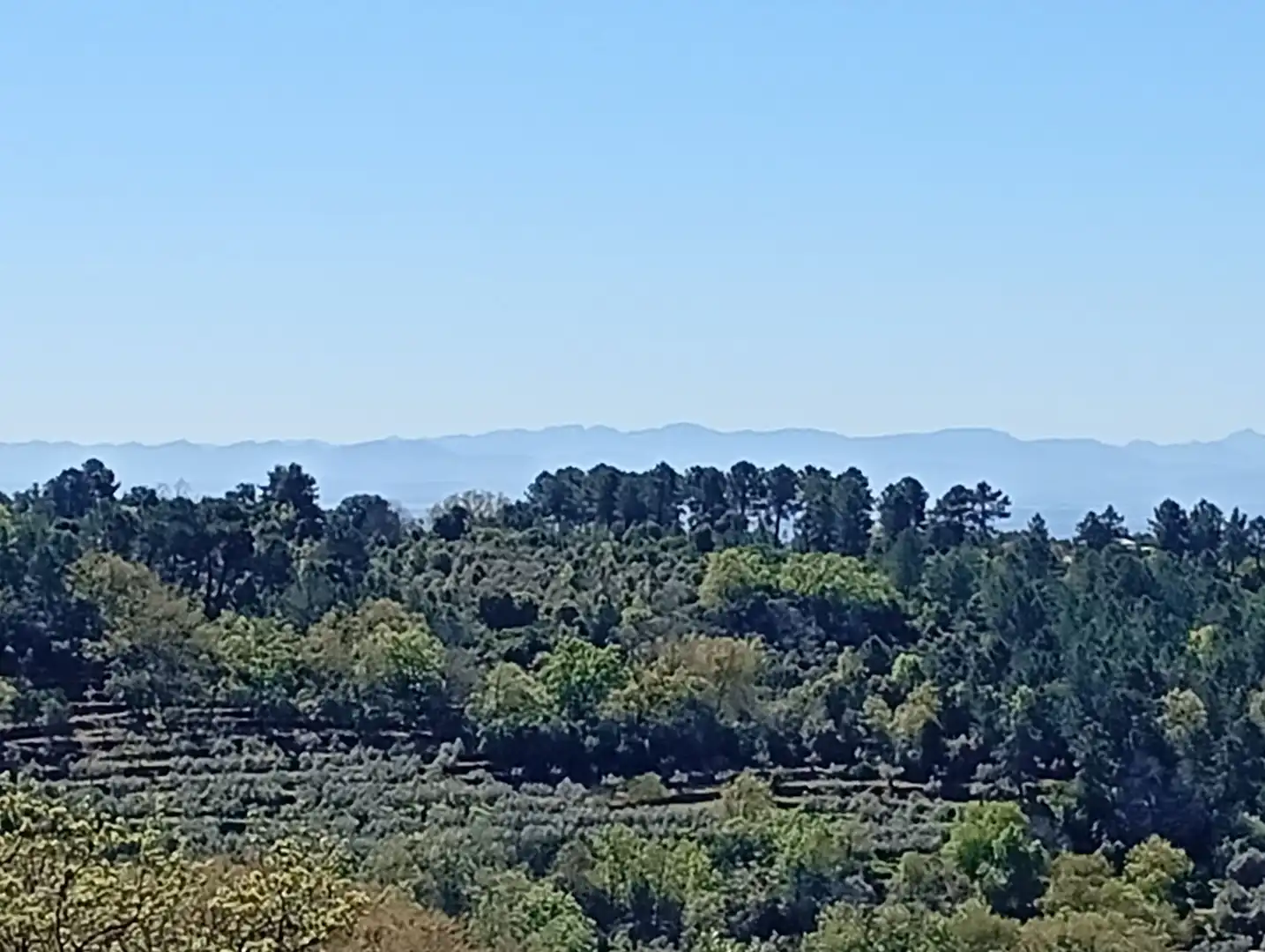 Terreni e lotti in vendita a Valverde de la Vera, imagen 78