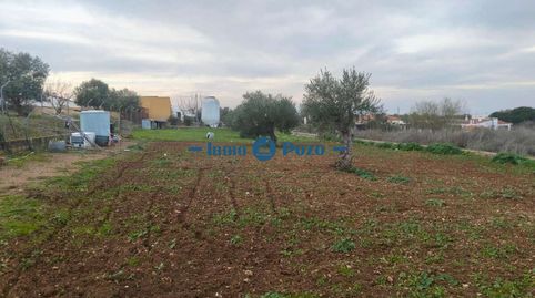 Foto 5 de Terreny en venda a Almendralejo, Badajoz