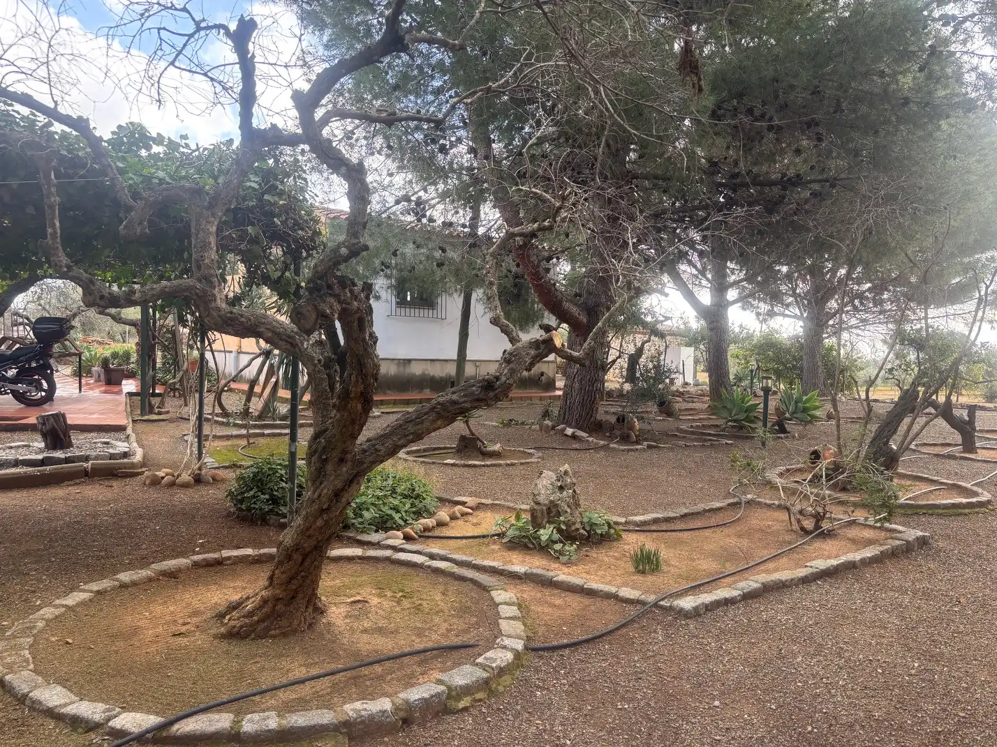 Garten von Grundstücke zum Verkauf in Reus