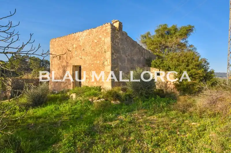Finca rústica en venta en Manacor Centre