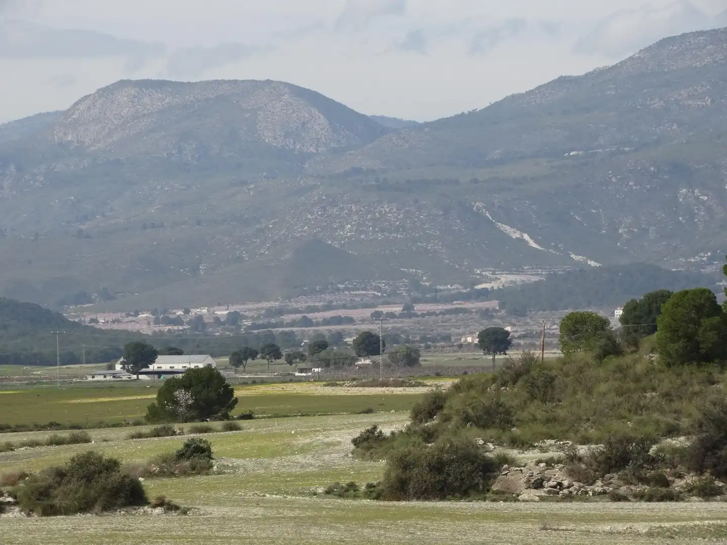 Terreni e lotti in vendita a Moratalla, imagen 7
