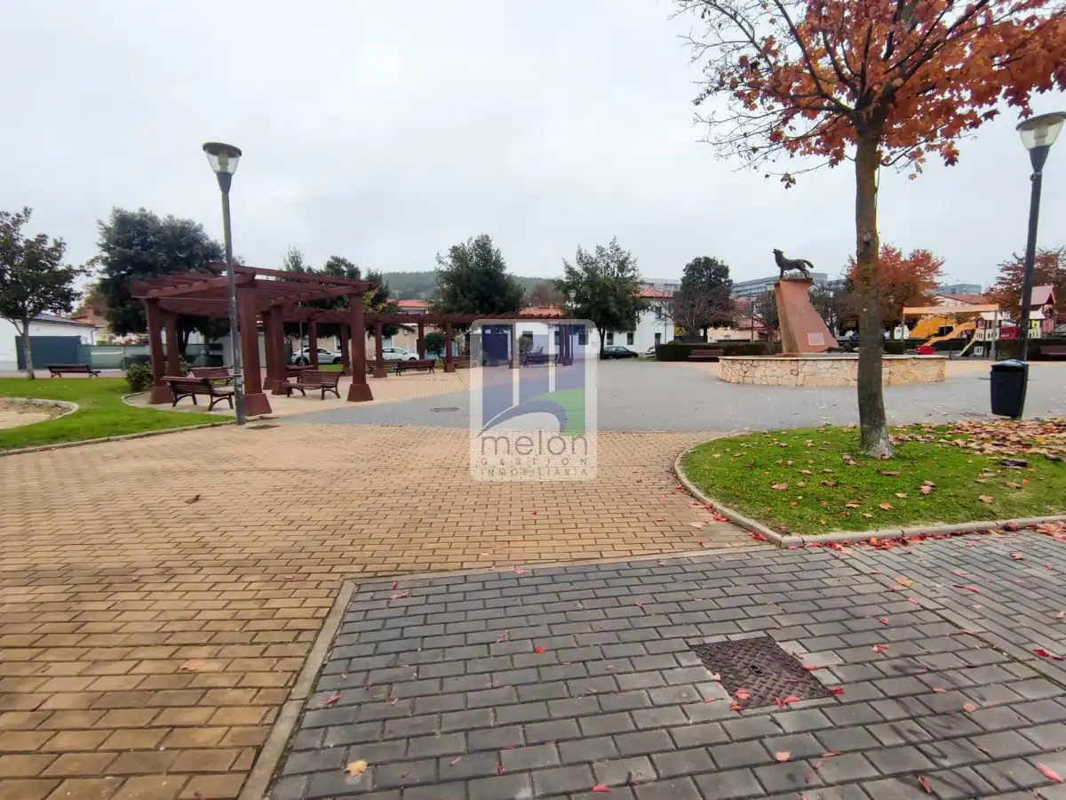 Exterior view of Residential for sale in Burgos