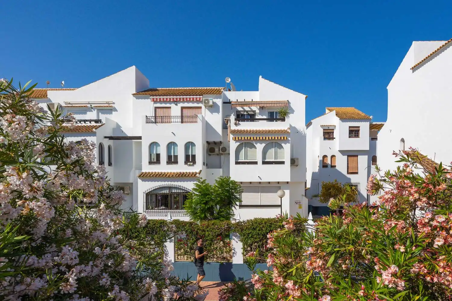 Exterior view of Apartments for sale in Torrevieja  with Terrace, Swimming Pool and Furnished