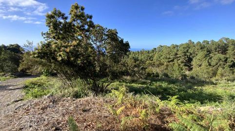 Photo 5 of Land for sale in Calle la Florida, 1, Santa Bárbara - La Florida, Icod de los Vinos