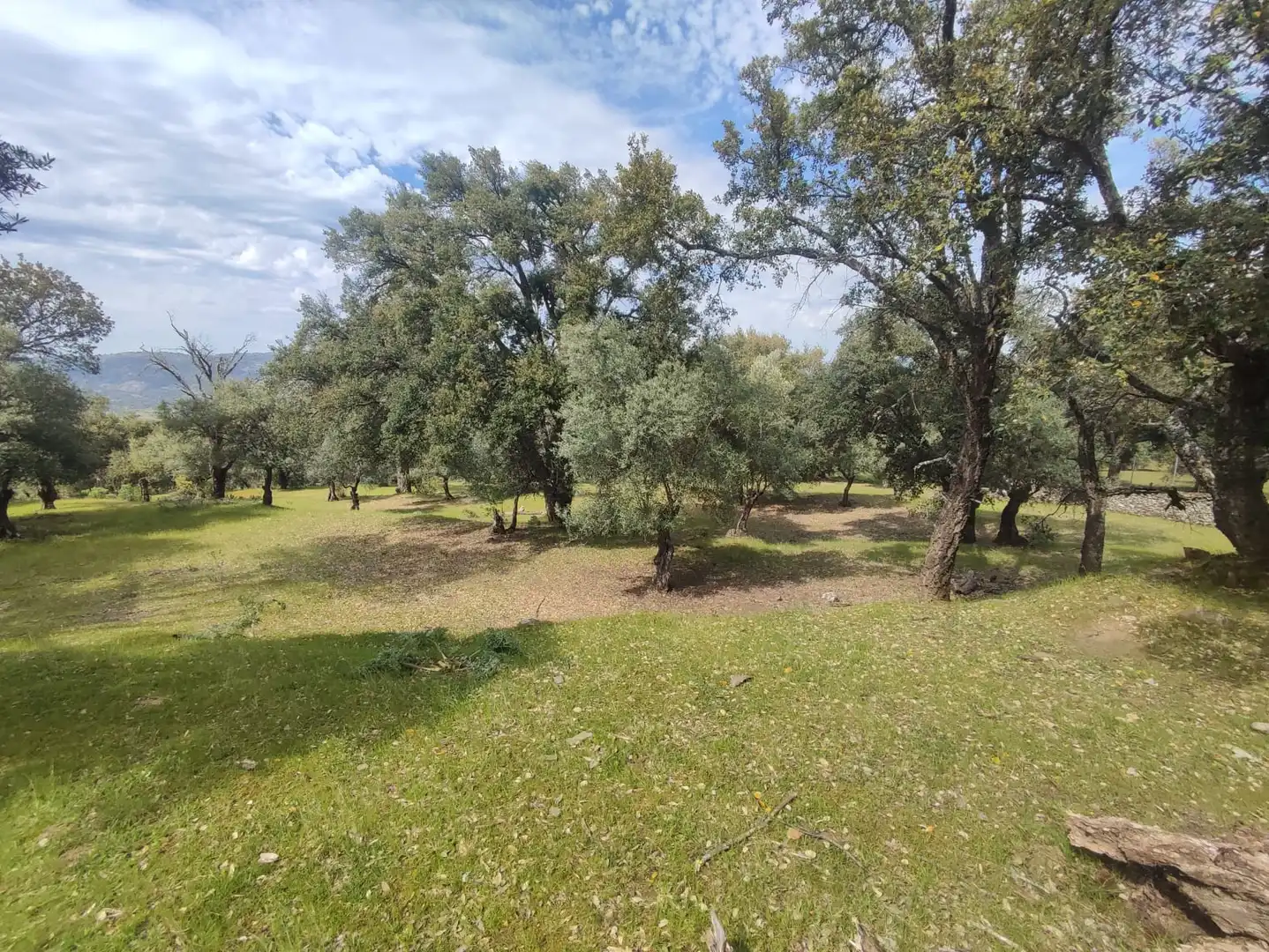 Terreni e lotti in vendita a Miralvalle - Av. Virgen del Puerto - La Data, imagen 11