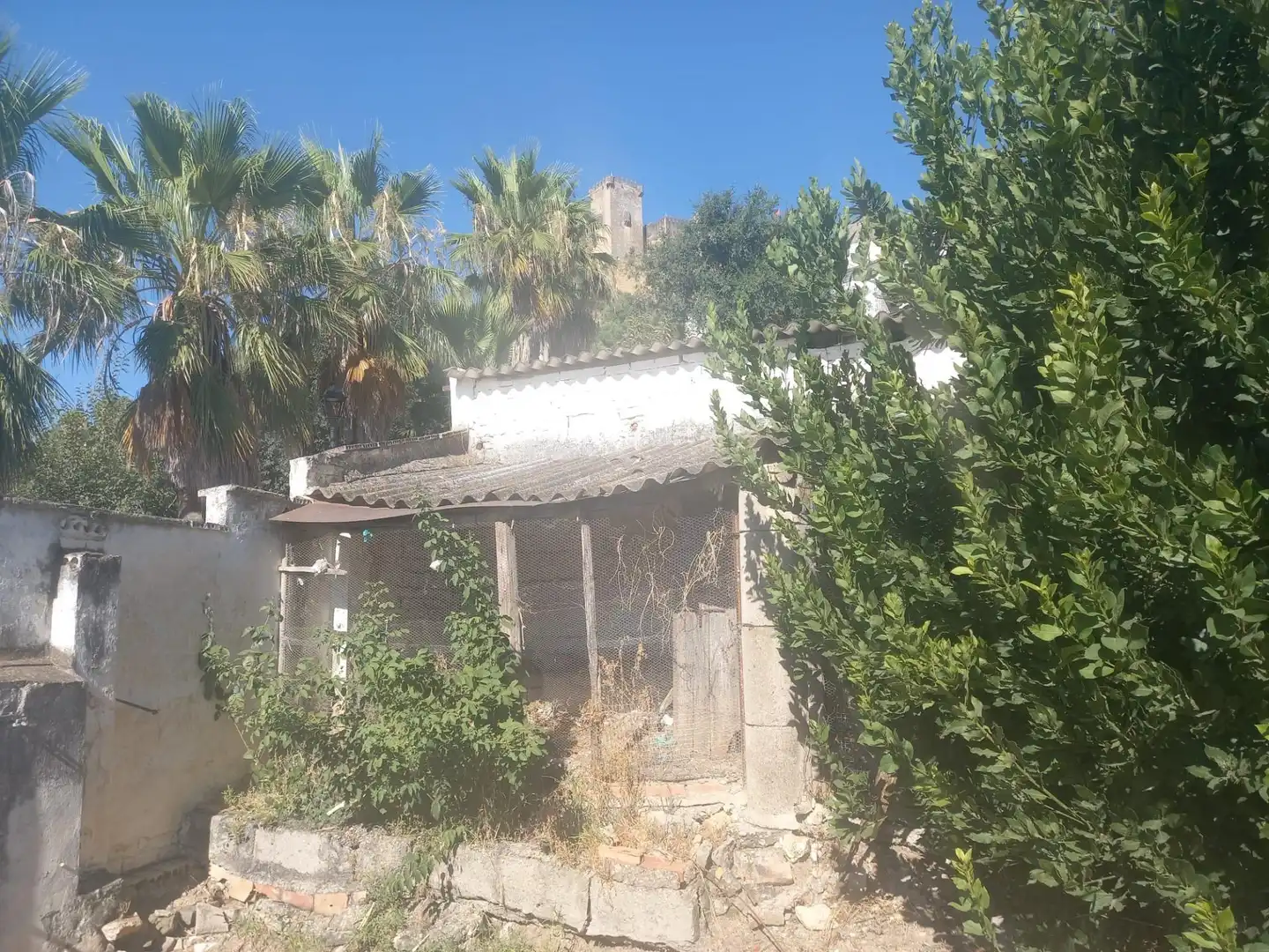 Terrenys i solars en venda a Almodóvar del Río, imagen 4