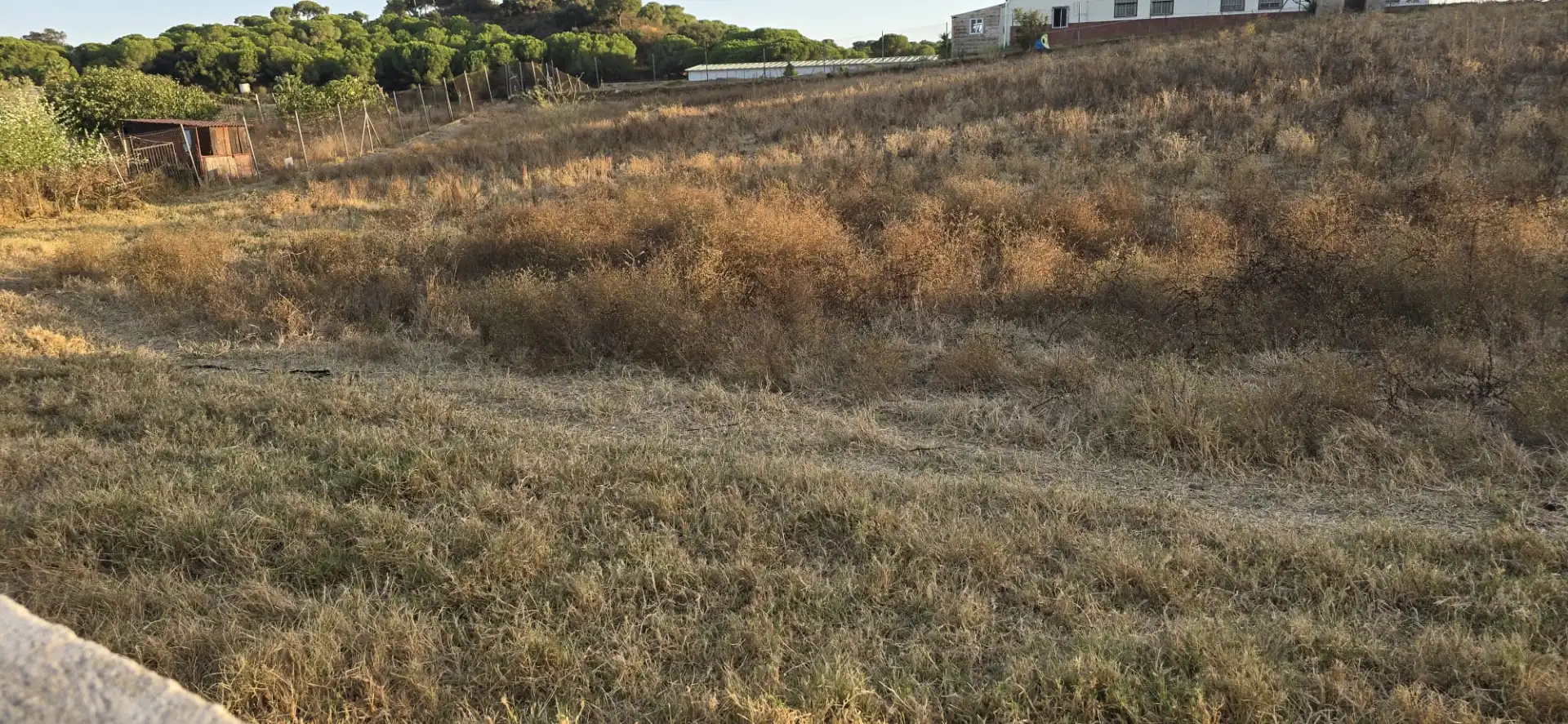 Terrenos y solares en venta en Núcleo urbano