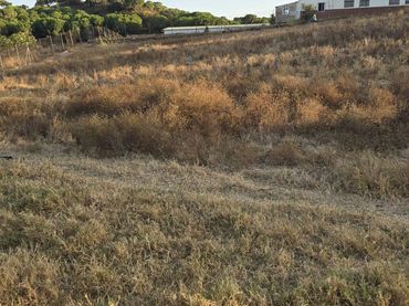 Terreno rústico en venta en Núcleo urbano