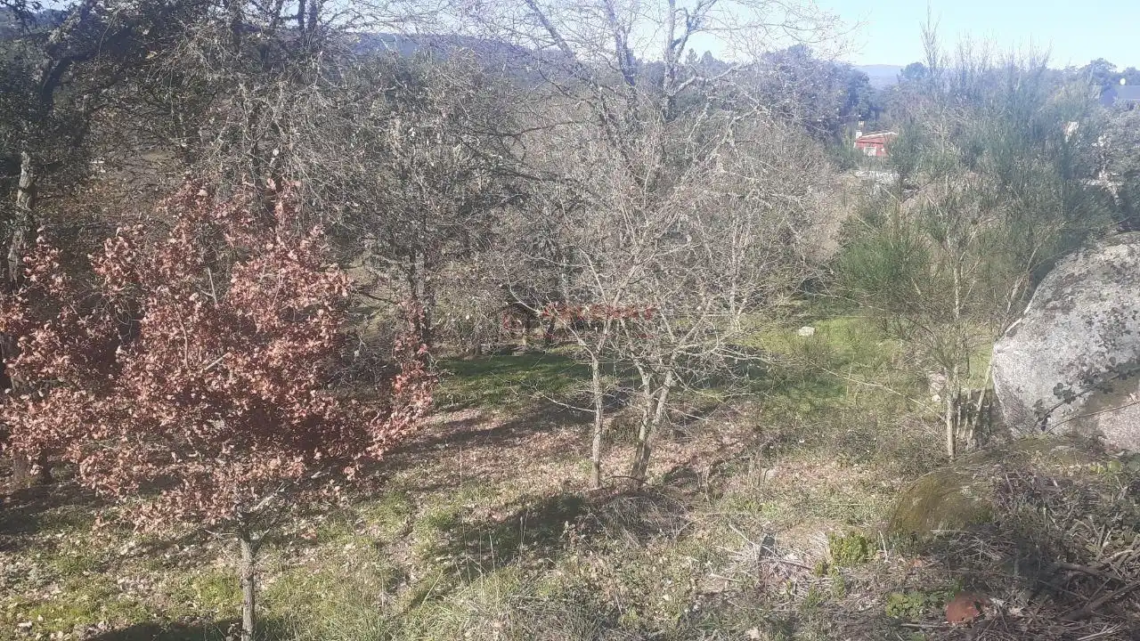 Terreni e lotti in vendita a San Cibrao das Viñas, imagen 5