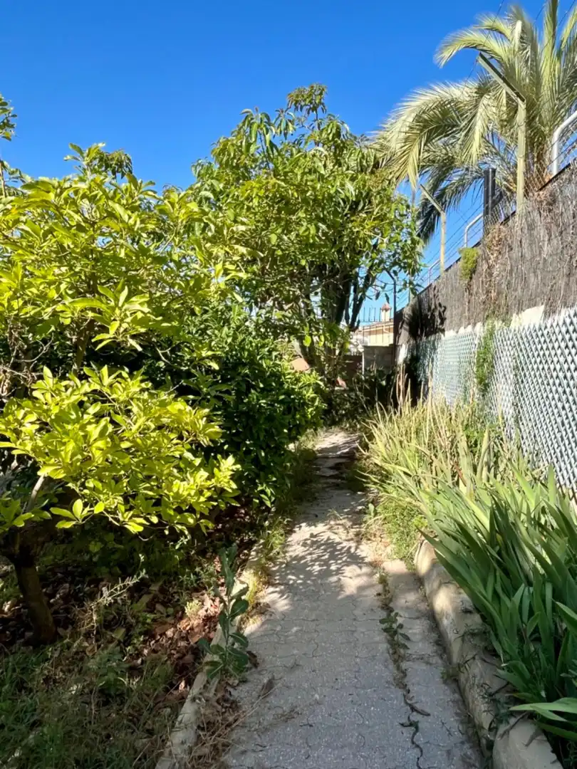 Villa avec terrasse à vendre à Elche ciudad, imagen 58
