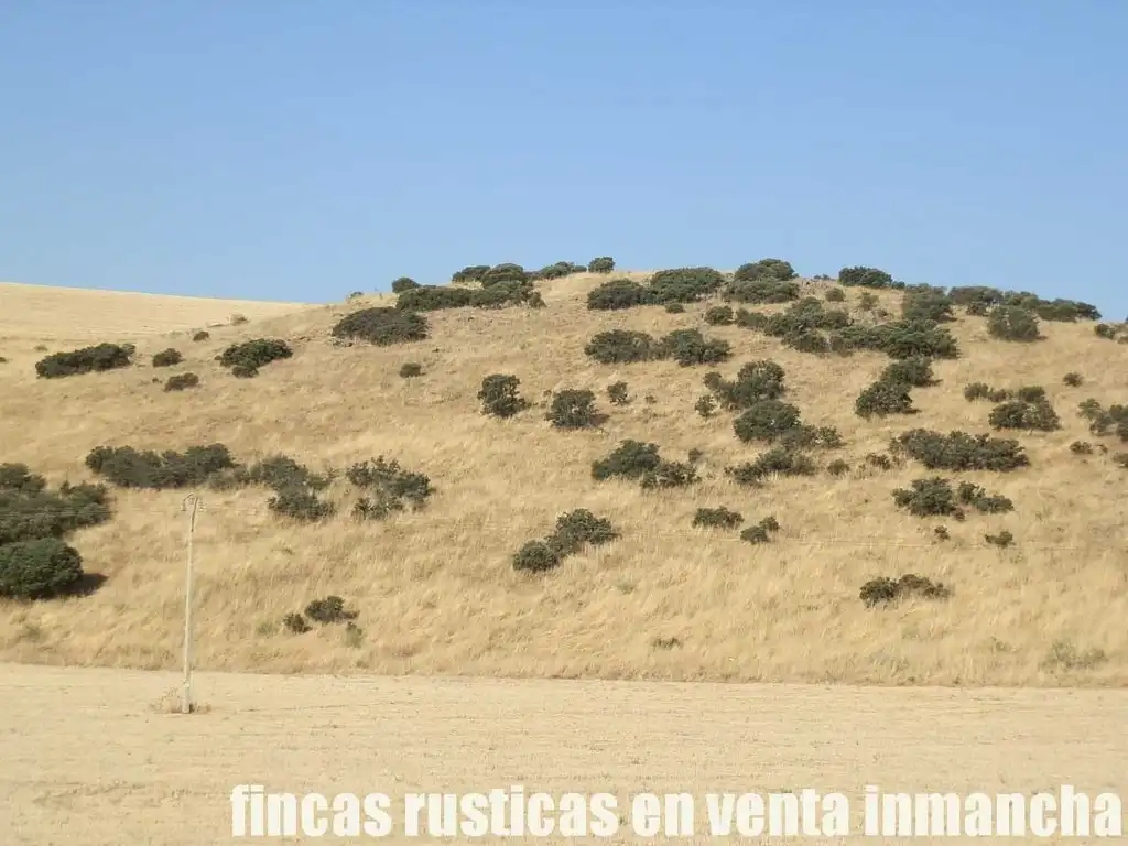 Terrenys i solars en venda a Almagro, imagen 12