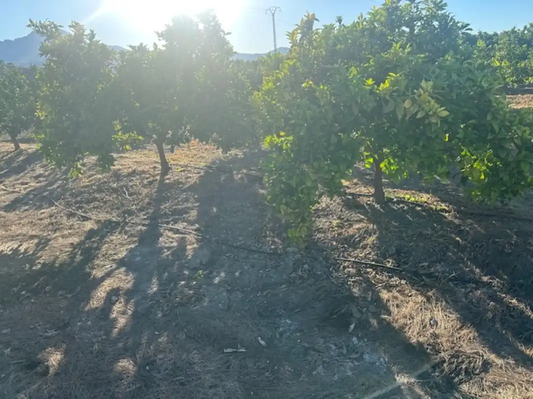 Terreno en venta en Xeresa