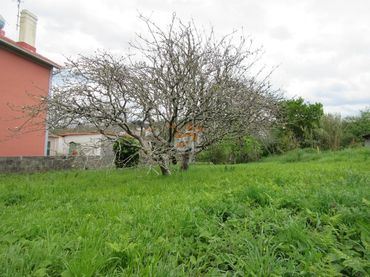 Terreny residencial en venda a Fene