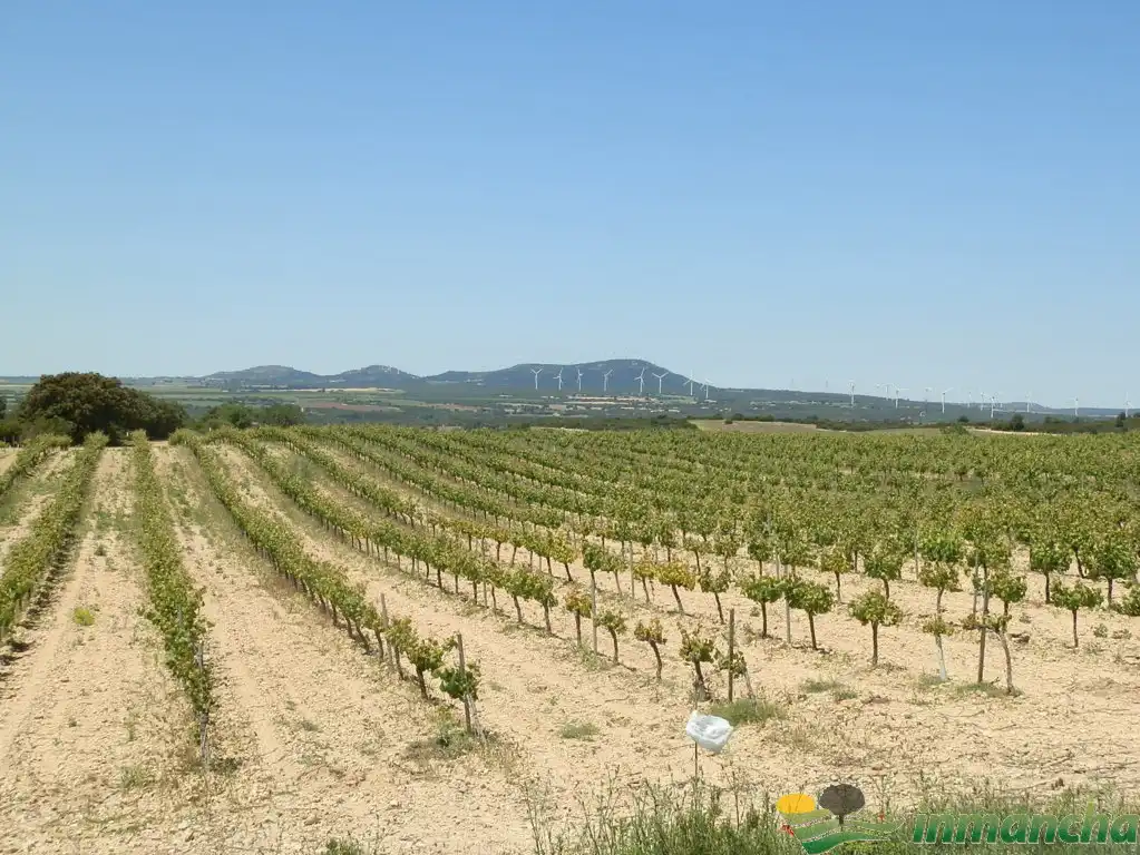 Terreni e lotti in vendita a Almansa, imagen 16