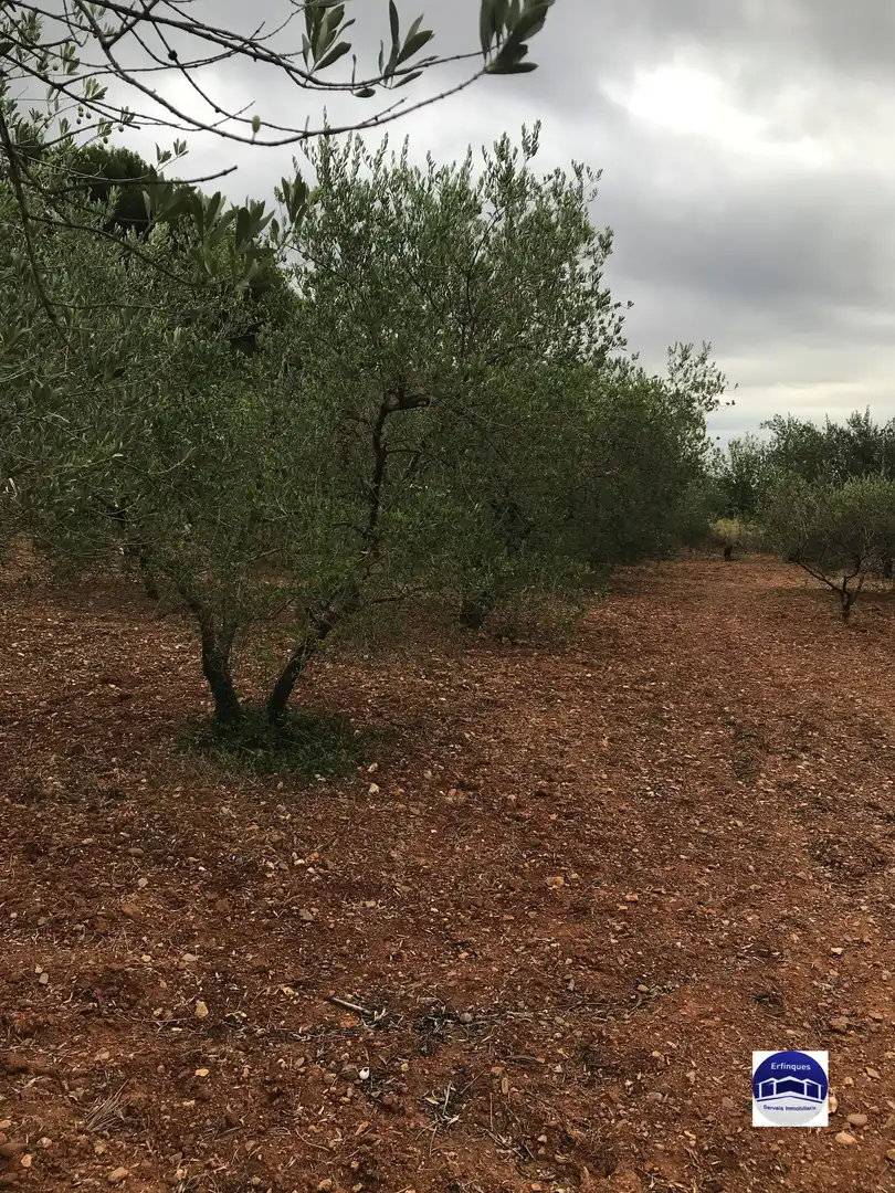 Residencial en venda en Terrassa