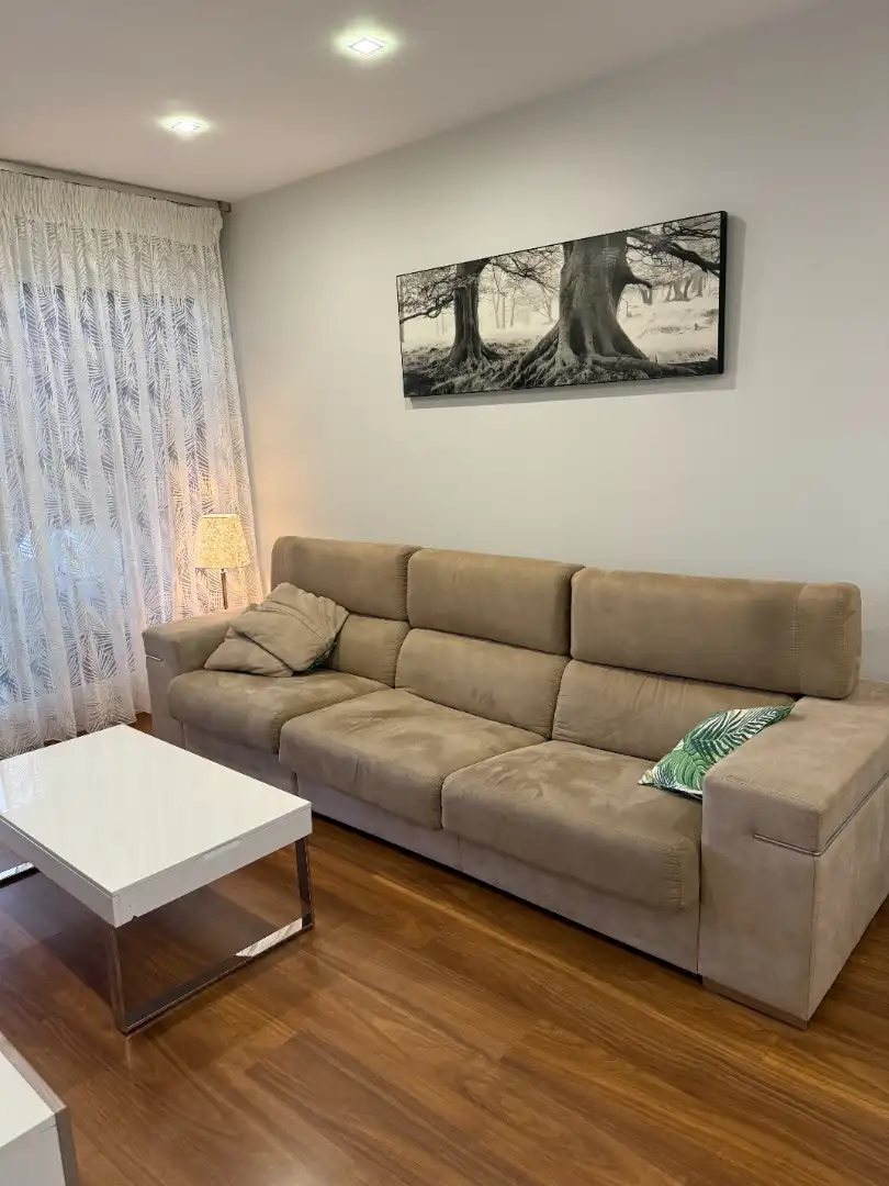 Apartament amb piscina de lloguer a Calle Rector Federico Mayor Zaragoza 11, imagen 6