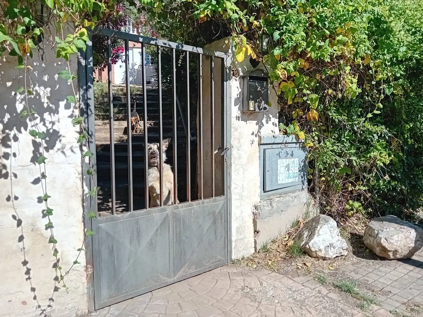 Villa con terrazza in vendita a Pedrezuela, imagen 43