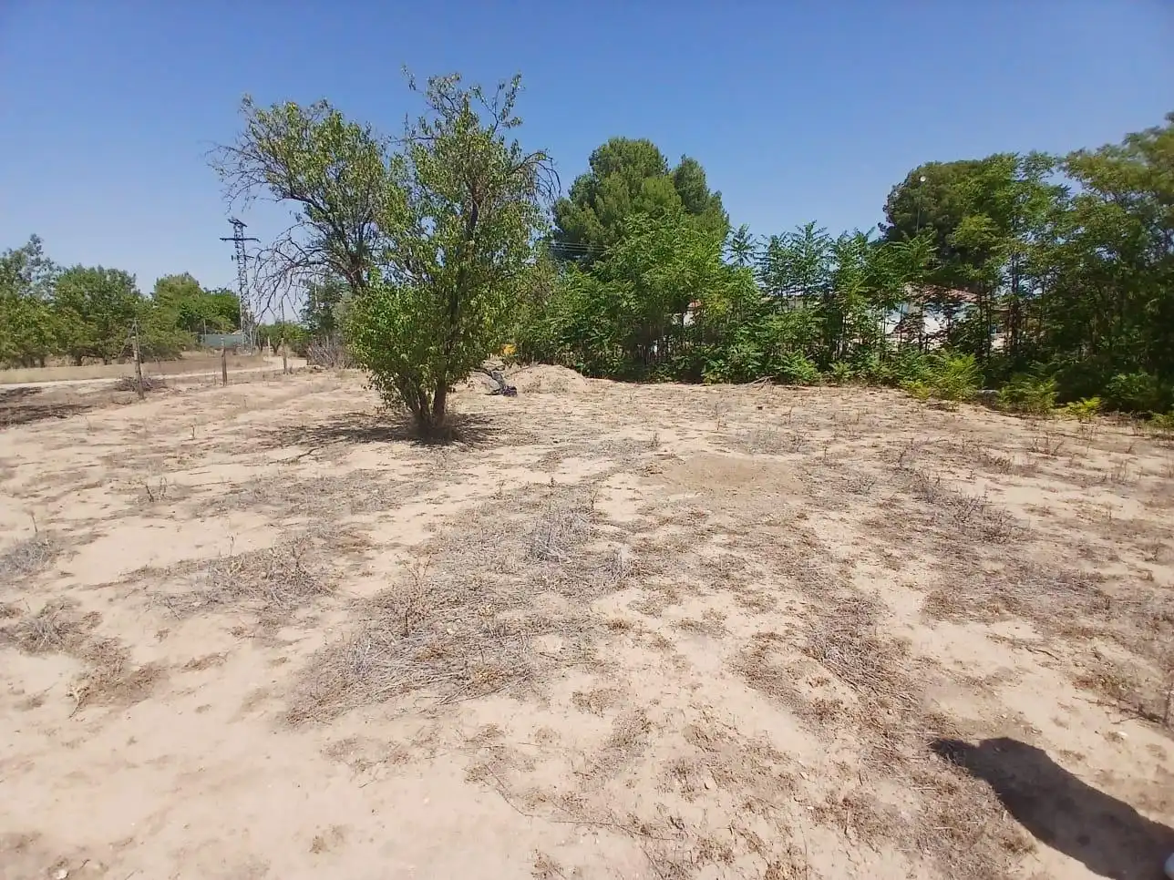 Terreno rustico in vendita a Santa Teresa - Vereda, imagen 4