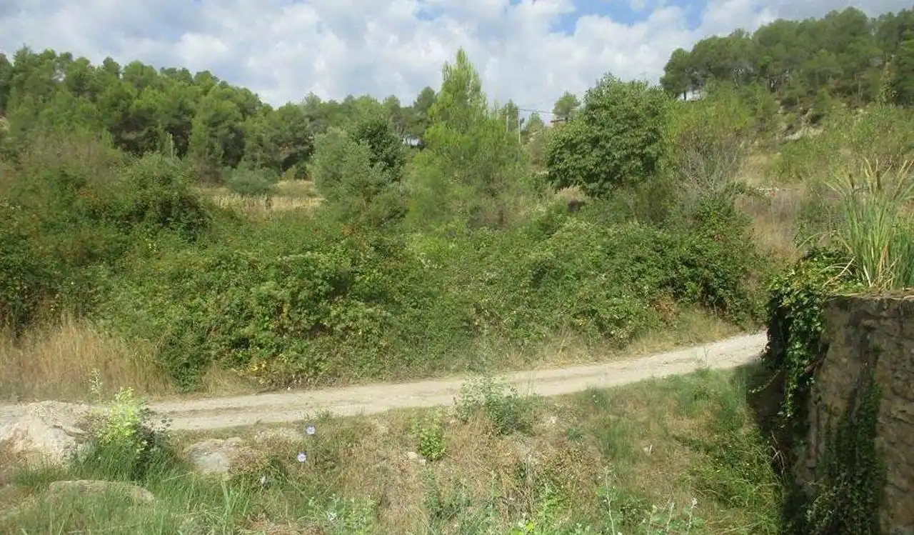 Wohnbaugrundstück zum Verkauf in Castellbell i el Vilar, imagen 3