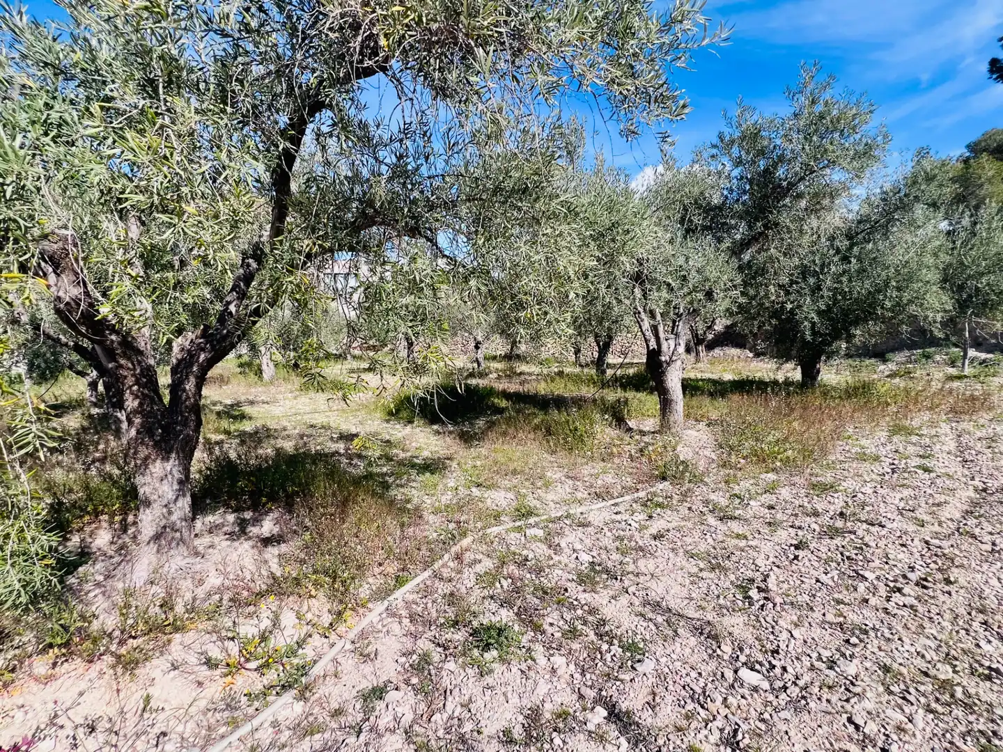 Casa o xalet en venda en Petrer amb Aire condicionat, Jardí privat i Terrassa