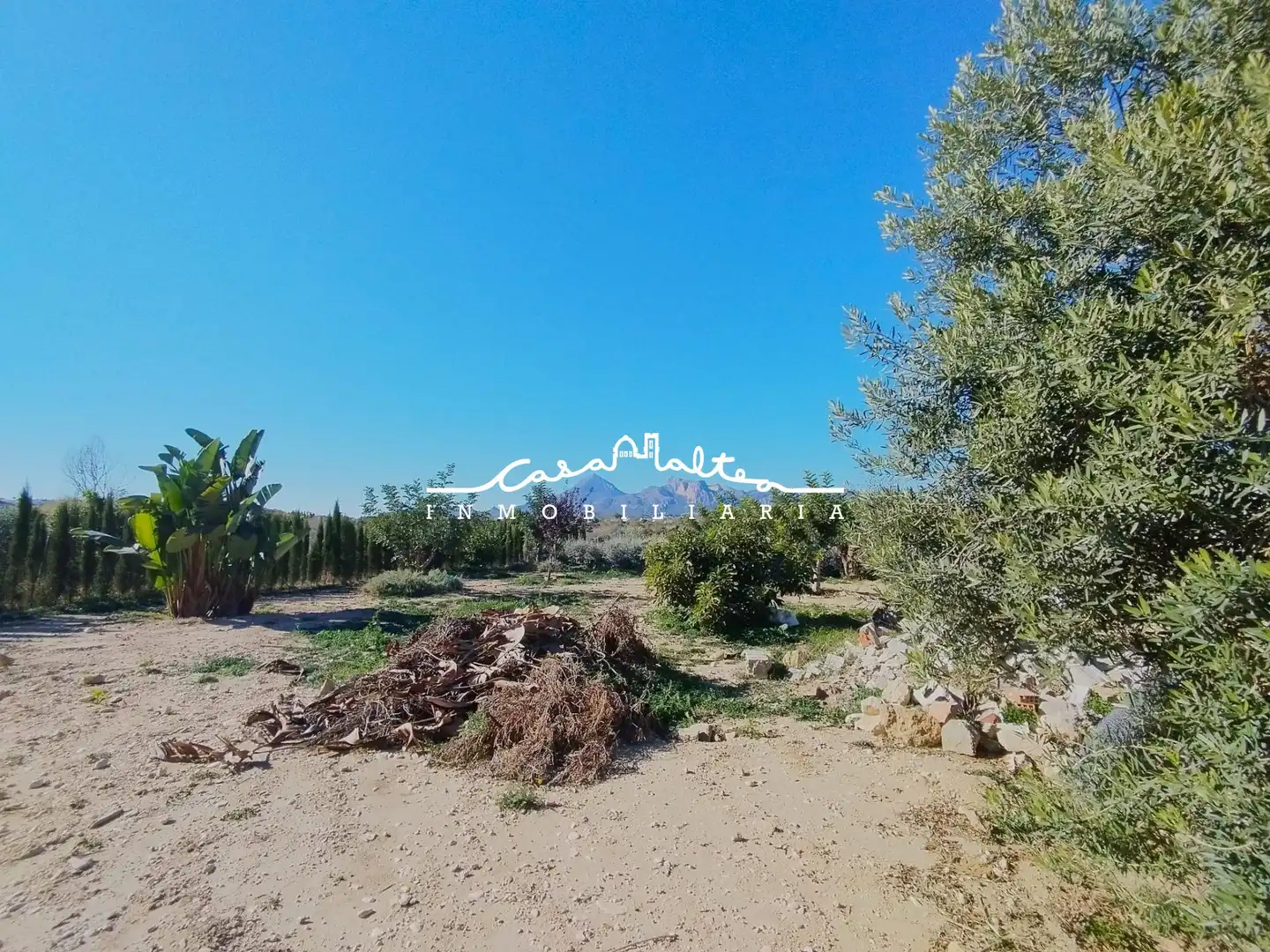 Rural land for sale in L'Olla, imagen 9