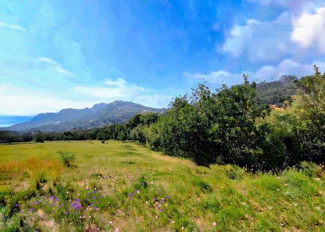 Terreno en Venta en Fornells - Aiguablava