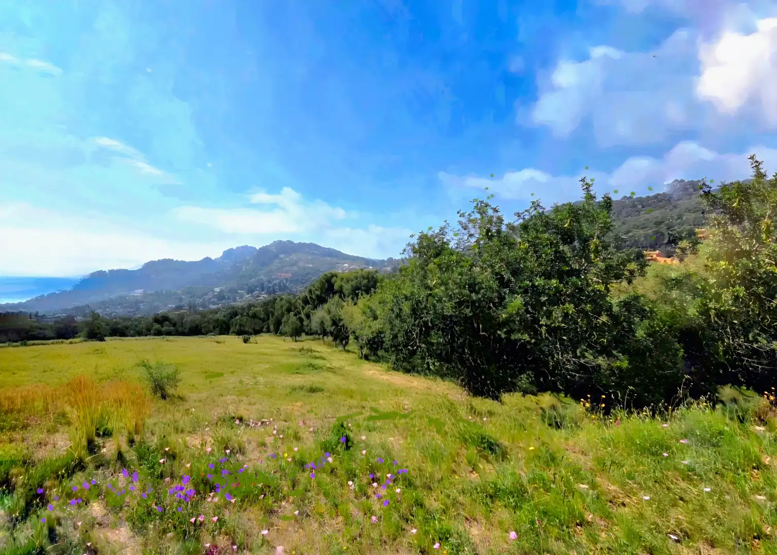 Terreno rústico en venta en Fornells - Aiguablava