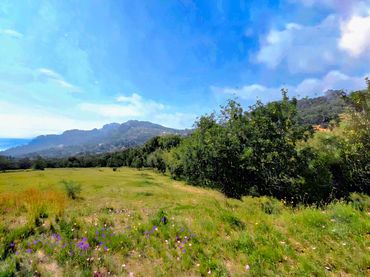 Terreno rustico in vendita a Fornells - Aiguablava